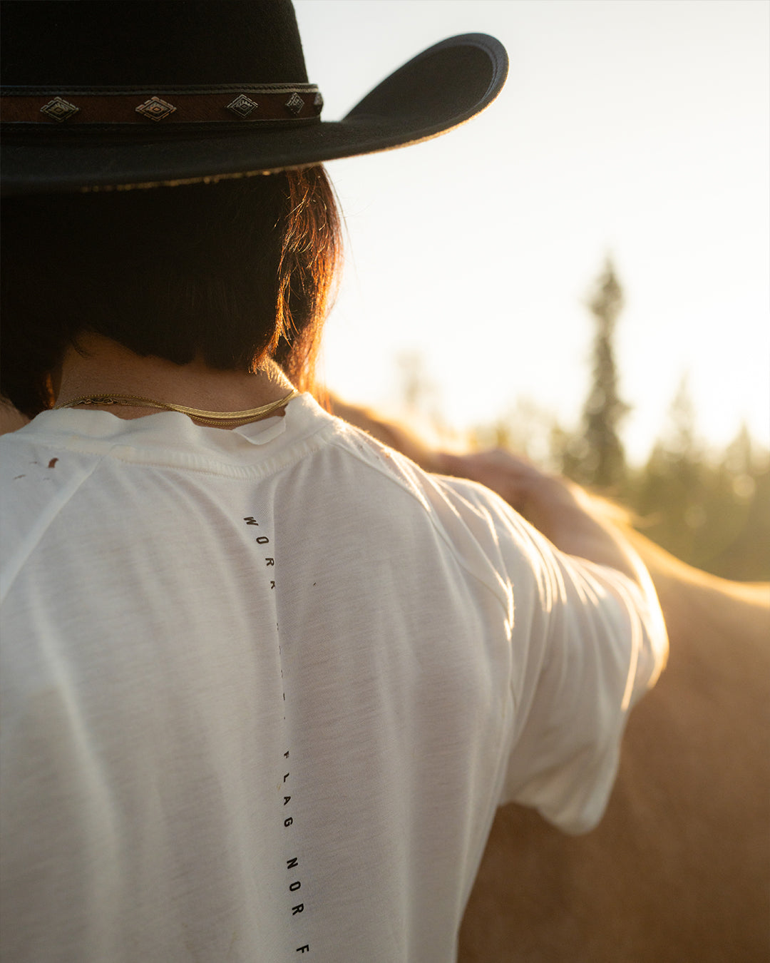 MOTO CROP TEE - WHITE