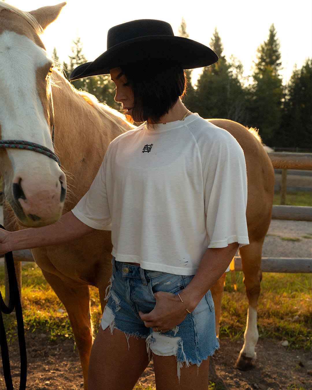 MOTO CROP TEE - WHITE