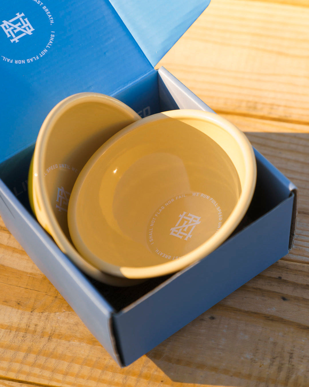 Zoomed in photo of two ceramic bowls in a blue box on a wooden picnic table