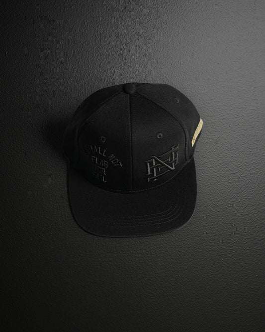 EMBROIDERED ANTHEM HAT - BLACK/BLACK